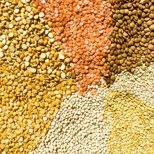 Pulses( all kind )